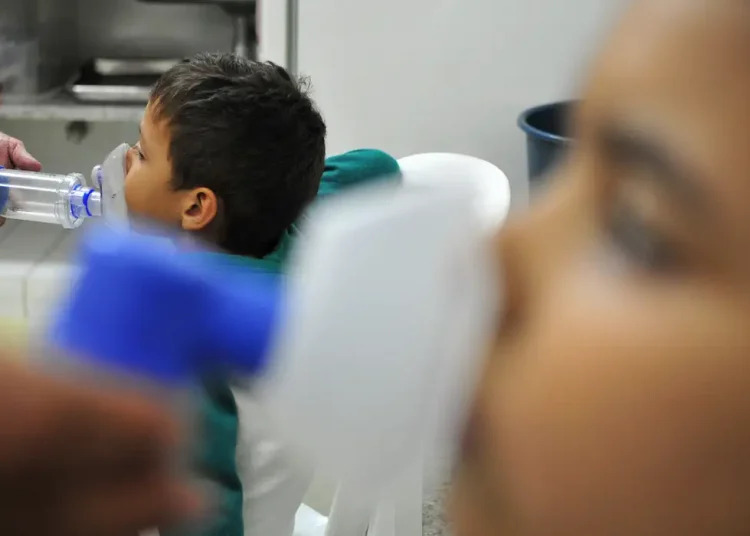 Ir para  <p>O aumento expressivo de interna&ccedil;&otilde;es hospitalares levou o governo do Rio Grande do Sul a declarar estado de emerg&ecirc;ncia em sa&uacute;de p&uacute;blica com foco na preven&ccedil;&atilde;o e...