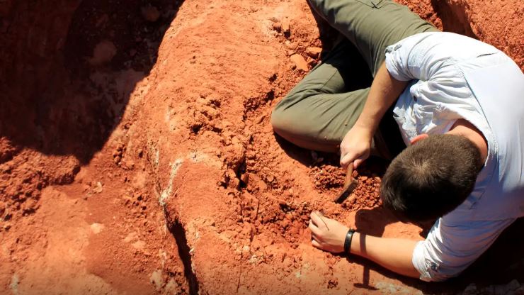 Ir para  <p>H&aacute; cerca de 250 milh&otilde;es de anos, o planeta viveu provavelmente o maior evento de extin&ccedil;&atilde;o de formas de vida, apelidado de&nbsp;<em>A Grande Morte</em>. Estima-se que mais de 95%...