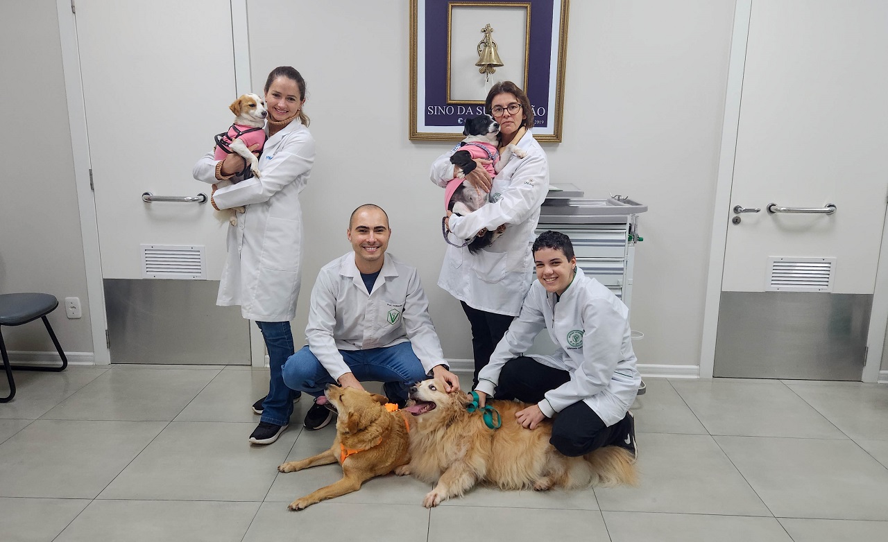 Ir para  <h2>O Curso de Medicina Veterin&aacute;ria da URI iniciou na segunda-feira, 15, as atividades pr&aacute;ticas do projeto de extens&atilde;o &ldquo;Patas Amigas&rdquo;, em parceria com a Funda&ccedil;&atilde;o...
