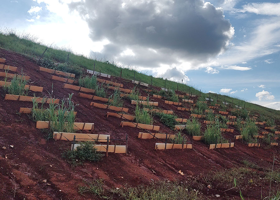 Ir para  <p>Diante dos desafios ambientais criados pela minera&ccedil;&atilde;o de ouro no Cerrado mineiro, uma pesquisa da&nbsp;<a href="http://www.embrapa.br/cerrados">Embrapa Cerrados</a>&nbsp;(DF) em...
