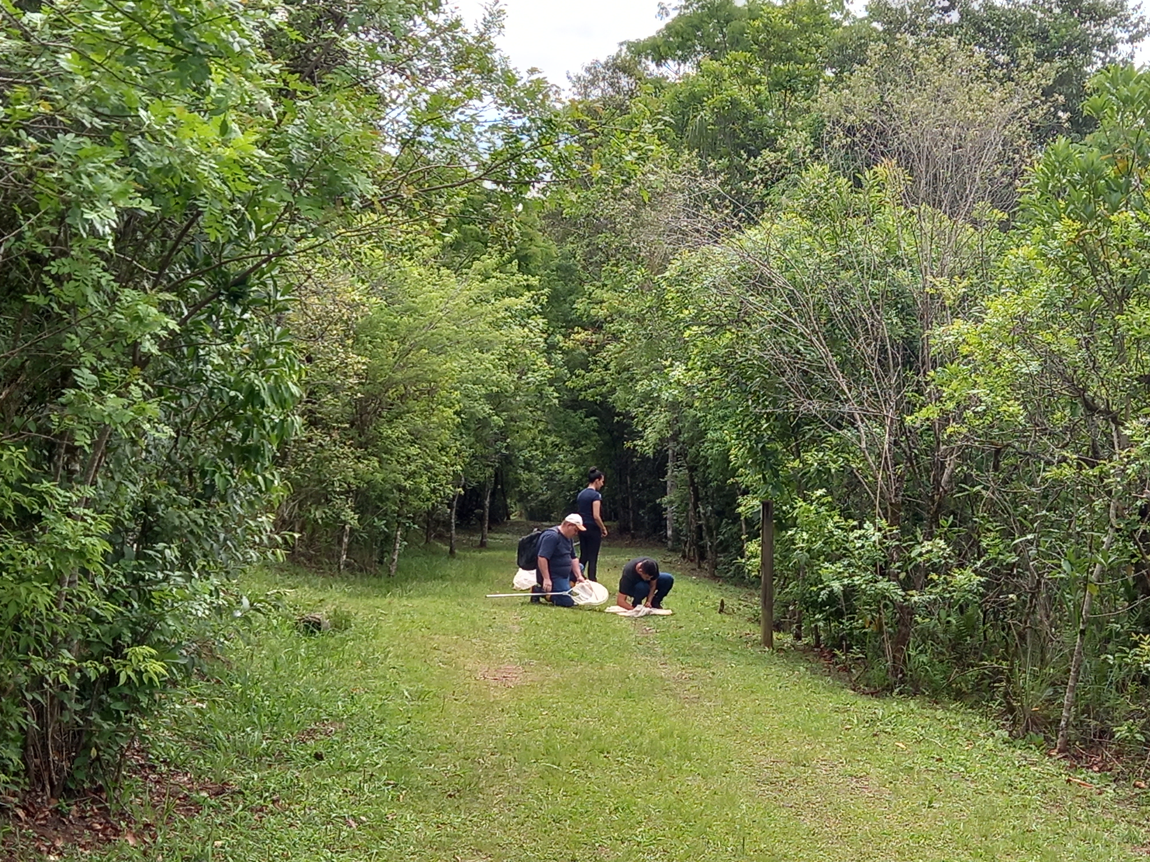 Ir para  <p>O Mestrado em Ecologia da URI realizou, entre os dias 13 e 16 de novembro, no Parque Estadual Fritz Plaumann, em Conc&oacute;rdia, Santa Catarina, a&ccedil;&otilde;es que fizeram parte da disciplina de Ecologia de Campo. A...