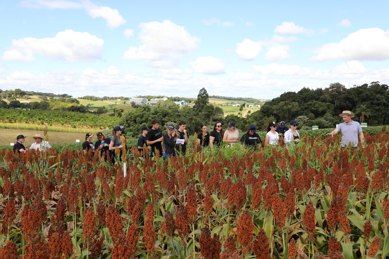 Ir para  <p><big>As &aacute;reas experimentais da Universidade Federal da Fronteira Sul (UFFS), no Campus de Erechim, com mais de 50 hectares de &aacute;rea, v&ecirc;m se firmando como um verdadeiro laborat&oacute;rio a...