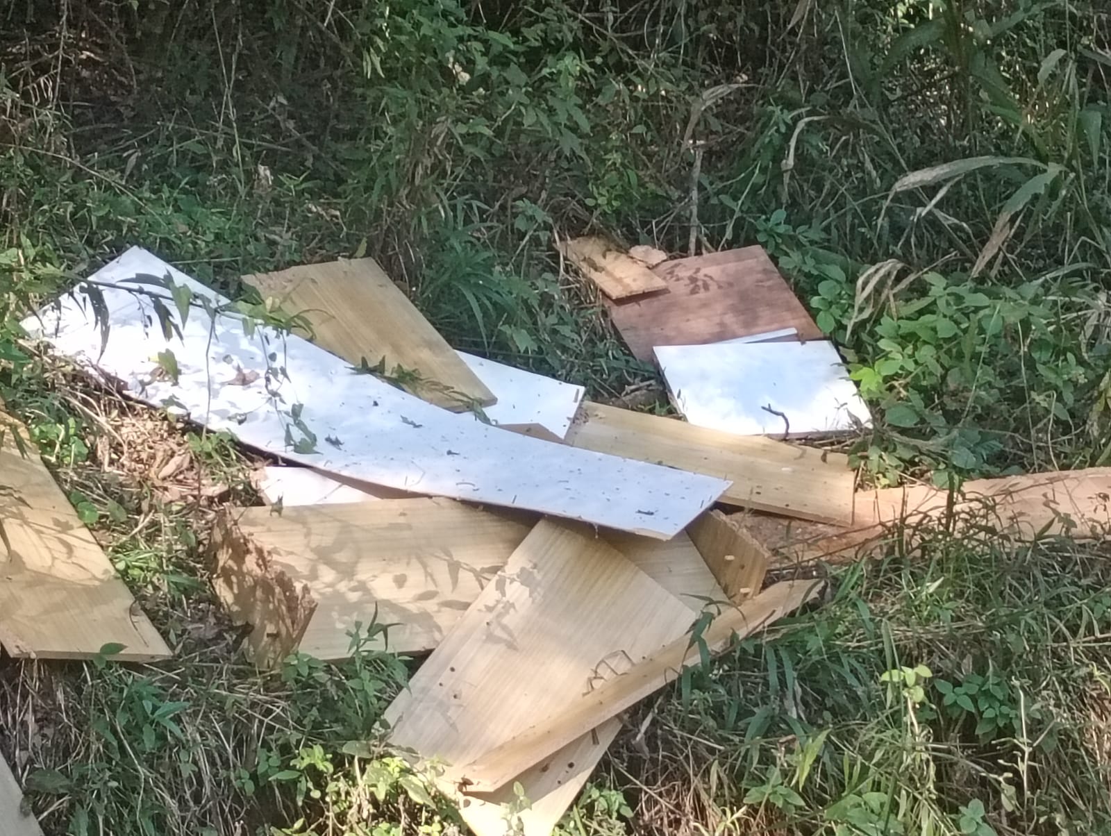 Ir para ALERTA À POPULAÇÃO: DESCARTE IRREGULAR DE RESÍDUOS É CRIME AMBIENTAL