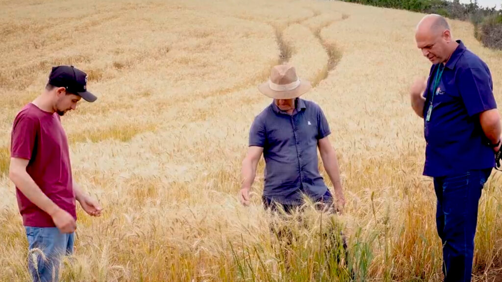 Inovação e Sustentabilidade: Como a Cooperativa Nossa Terra lidera a transição agroecológica com o Projeto Bem Cultivar