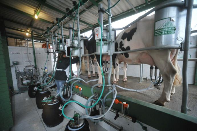 Ir para  <p>O valor m&eacute;dio recebido pelos produtores de leite no Rio Grande do Sul chegou a R$ 1,08 por litro em maio, com alta de 15,5% em rela&ccedil;&atilde;o aos R$ 0,94 do mesmo m&ecirc;s do ano passado e de 4,58% em...