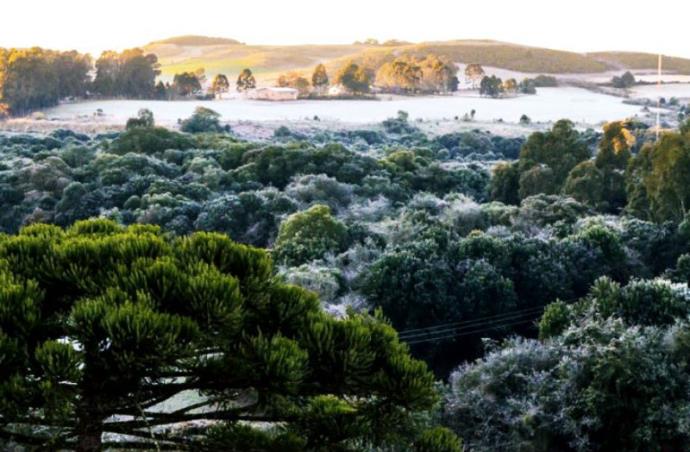 Ir para  <p>O Rio Grande do Sul voltar&aacute; a ter um frio intenso no final de semana por conta da chegada de uma nova massa de ar polar ao Estado. Nesta quarta-feira, algumas cidades ga&uacute;chas registraram temperaturas negativas...