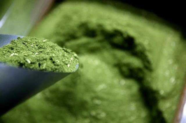Ir para  <p>Depois do boom da erva-mate no Rio Grande do Sul, que h&aacute; dois anos elevou em 200% o pre&ccedil;o ao consumidor, o mercado come&ccedil;a a dar sinais de estabilidade. Se a escassez do produto foi respons&aacute;vel...