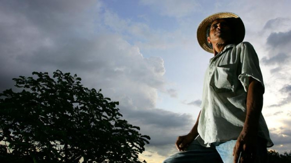 Ir para  <p>Maior componente do d&eacute;ficit do sistema geral de Previd&ecirc;ncia, respons&aacute;vel por um &ldquo;rombo&rdquo; de R$ 91 bilh&otilde;es no ano passado, a aposentadoria dos pequenos produtores rurais...