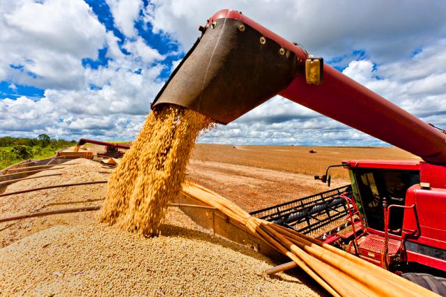 Ir para  <p>A regi&atilde;o Centro-Oeste cont&iacute;nua com a maior produ&ccedil;&atilde;o percentual de cereais, leguminosas e oleaginosas (41,6% do total), o equivalente a 79,9 milh&otilde;es de toneladas. Ag&ecirc;ncia...