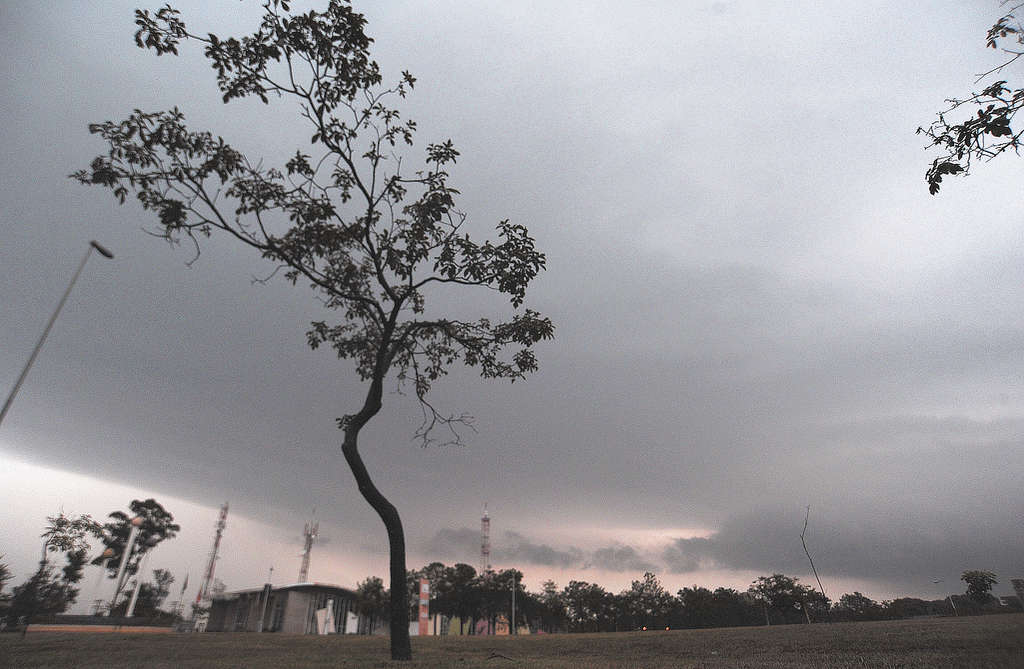 Ir para  <p>A semana come&ccedil;a com predom&iacute;nio de sol e nuvens na maior parte do Rio Grande do Sul. O frio perde for&ccedil;a no amanhecer e a segunda-feira ser&aacute; abafada. Devido ao aumento da nebulosidade, espera-se...