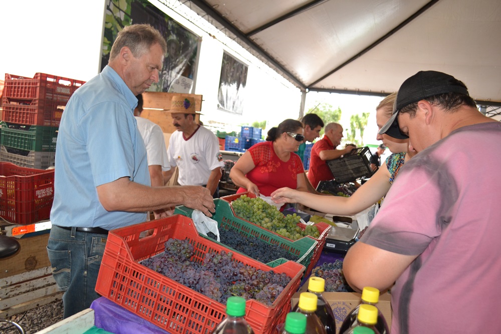 Ir para  <p><big>A XVI Festa Di Bacco come&ccedil;ou com boas perspectivas para comercializa&ccedil;&atilde;o de alimentos e demais produtos produzidos pela agricultura familiar. Conforme o presidente da Festa, Adilson Szady, a...