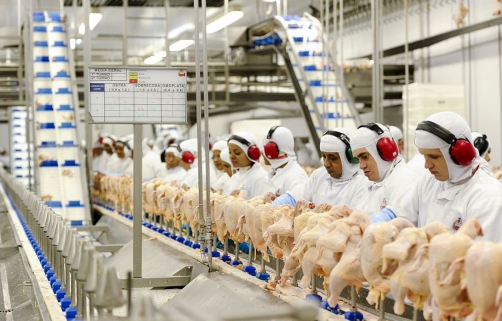 Ir para  <p>A empresa Globo Aves de Lind&oacute;ia do Sul demitir&aacute; nas pr&oacute;ximas horas 225 funcion&aacute;rios, mantendo apenas 40 trabalhadores na atividade. A informa&ccedil;&atilde;o foi confirmada pelo...