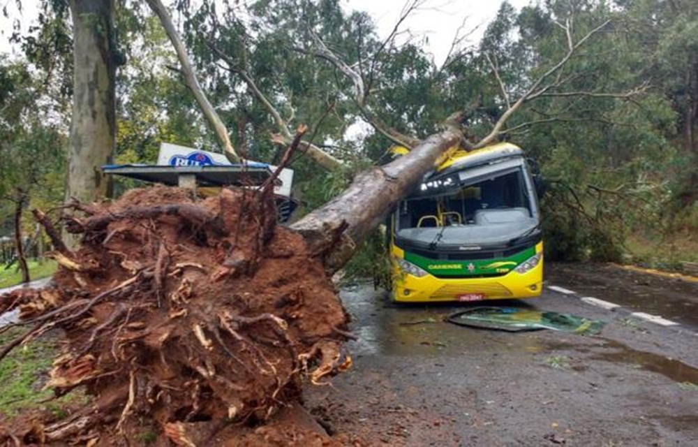 Ir para  <p>O temporal da madrugada desta quinta-feira provocou a queda de uma &aacute;rvore de grande porte sobre um &ocirc;nibus da empresa Caxiense. O fato ocorreu por volta das 6h, pr&oacute;ximo ao acesso &agrave; Vila Maestra,...