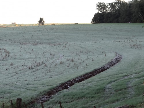 Ir para  <p><big>&nbsp;A pouca chuva registrada no &uacute;ltimo fim de semana em zonas produtoras do Rio Grande do Sul foi suficiente apenas para que os triticultores pudessem semear &aacute;reas j&aacute; preparadas para a...