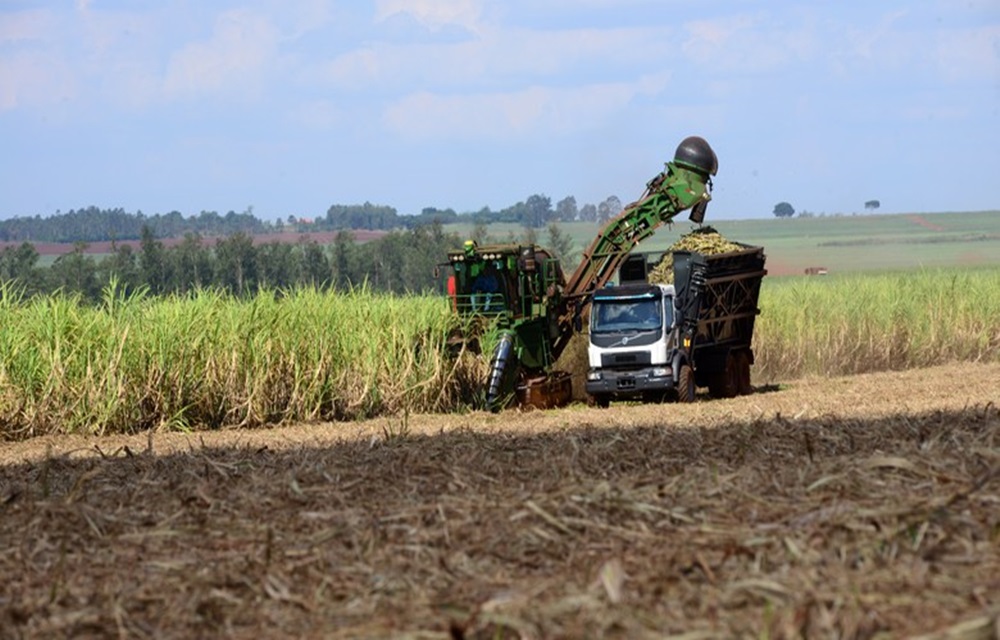 Ir para  <p>O Valor Bruto da Produ&ccedil;&atilde;o Agropecu&aacute;ria (VBP) para este ano foi estimado em R$ 535,4 bilh&otilde;es pela Secretaria de Pol&iacute;tica Agr&iacute;cola do Minist&eacute;rio da Abricultura,...