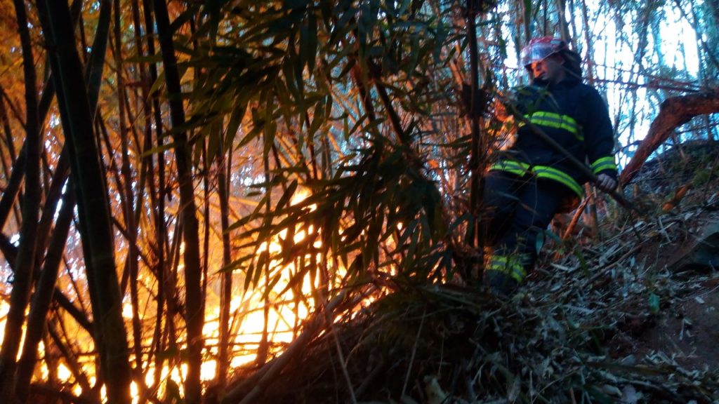 Ir para  <p><big>Os Bombeiros Volunt&aacute;rios de Arabut&atilde; atenderam por voltas das 15h desta segunda-feira, dia 4, um inc&ecirc;ndio de grandes propor&ccedil;&otilde;es em vegeta&ccedil;&atilde;o. O fogo se...