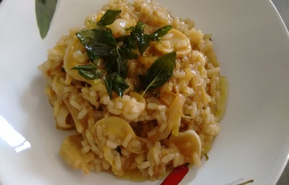 Ir para  <p>Ingredientes:</p>

<p>700 gramas de frango desfiado;</p>

<p>2 x&iacute;caras de arroz;</p>

<p>&aacute;gua quente;</p>

<p>100 gramas de queijo...