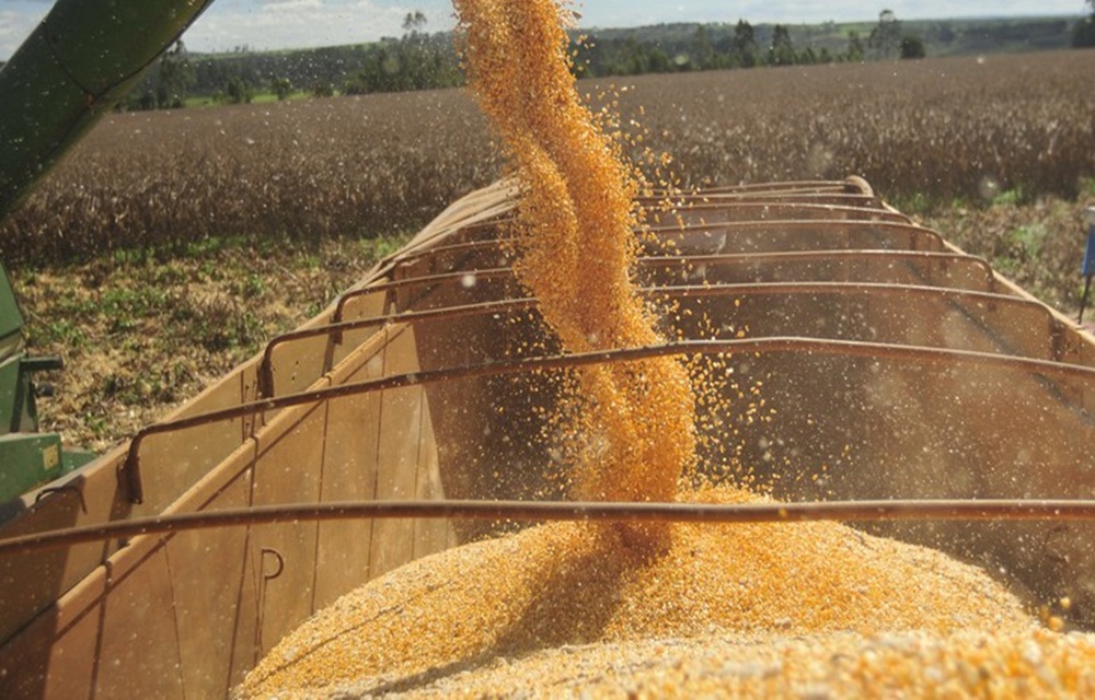 Ir para  <p>O cen&aacute;rio de pre&ccedil;os baixos do milho no mundo pode sofrer altera&ccedil;&atilde;o caso a safra na Am&eacute;rica do Sul apresente problemas relevantes e haja menor disponibilidade do cereal, disse a INTL...