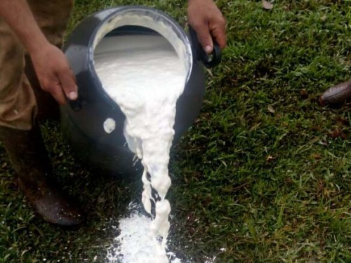 Ir para  <p><big>Cerca de 15 fam&iacute;lias de agricultores residentes em sua maioria nas localidade de Parob&eacute; e Barra Seca, no interior de Itatiba do Sul, viveram uma semana de transtornos. O temporal do dia 1&ordm; de...