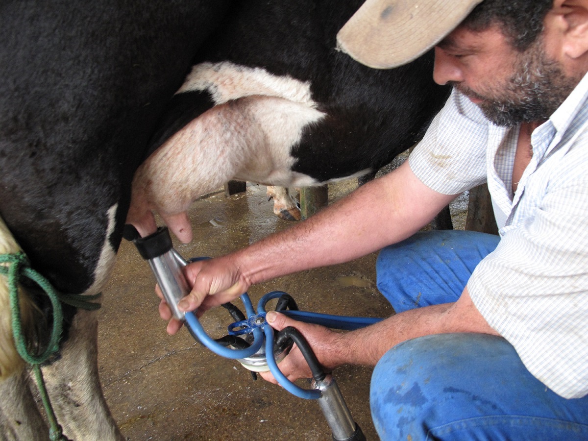 Ir para  <p><big>O SINFRAF de Centen&aacute;rio em conjunto com o SUTRAF-AU, promoveu hoje (11), encontro com produtores de leite e autoridades locais, para debater sobre as dificuldades enfrentadas pelos agricultores familiares na cadeia...