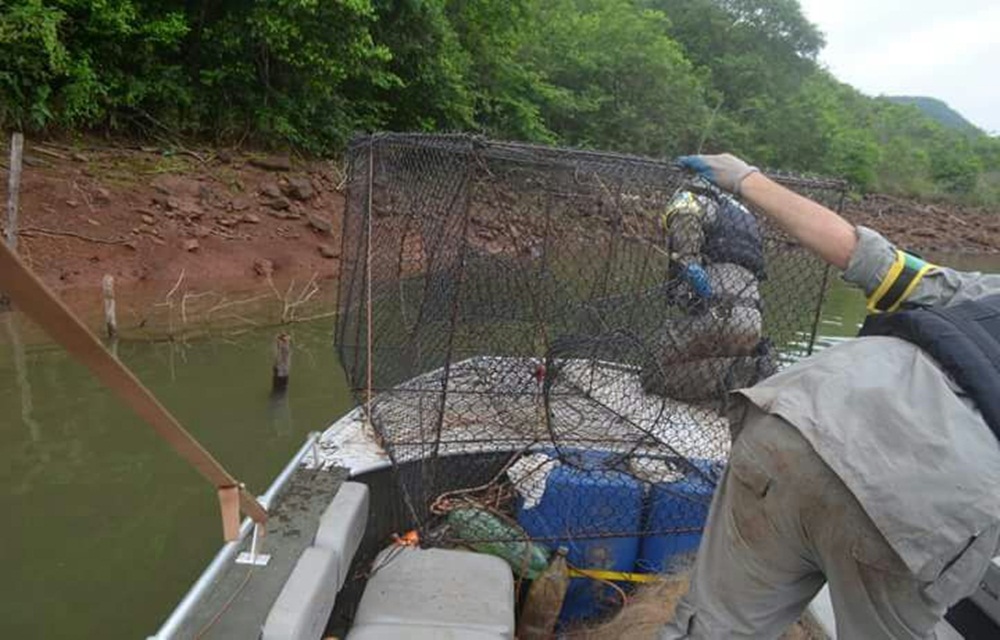 Ir para  <p>Policiais militares da PATRAM Erechim est&atilde;o intensificando as blitz em rios do Alto Uruguai e j&aacute; fizeram in&uacute;meras apreens&otilde;es de material de pesca.</p>

<p>&Eacute;...