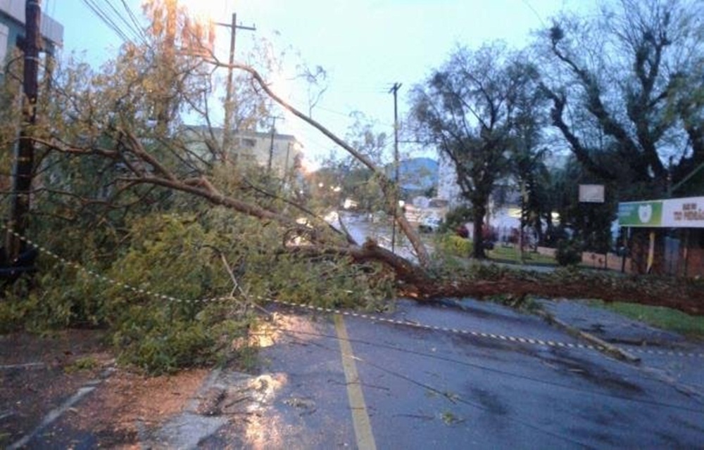 Ir para  <p>A regi&atilde;o Central do Rio Grande do Sul &eacute; uma das mais atingidas pelo temporal que come&ccedil;ou na noite dessa quarta e segue nesta quinta-feira. A for&ccedil;a do vento derrubou &aacute;rvores, postes e...