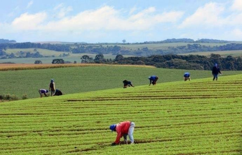 Ir para  <p>Emendas ao Or&ccedil;amento 2018, que receberam nessa quarta-feira o aval das Comiss&otilde;es de Agricultura e Seguridade Social da C&acirc;mara dos Deputados, destinam ao Programa de Aquisi&ccedil;&atilde;o de...