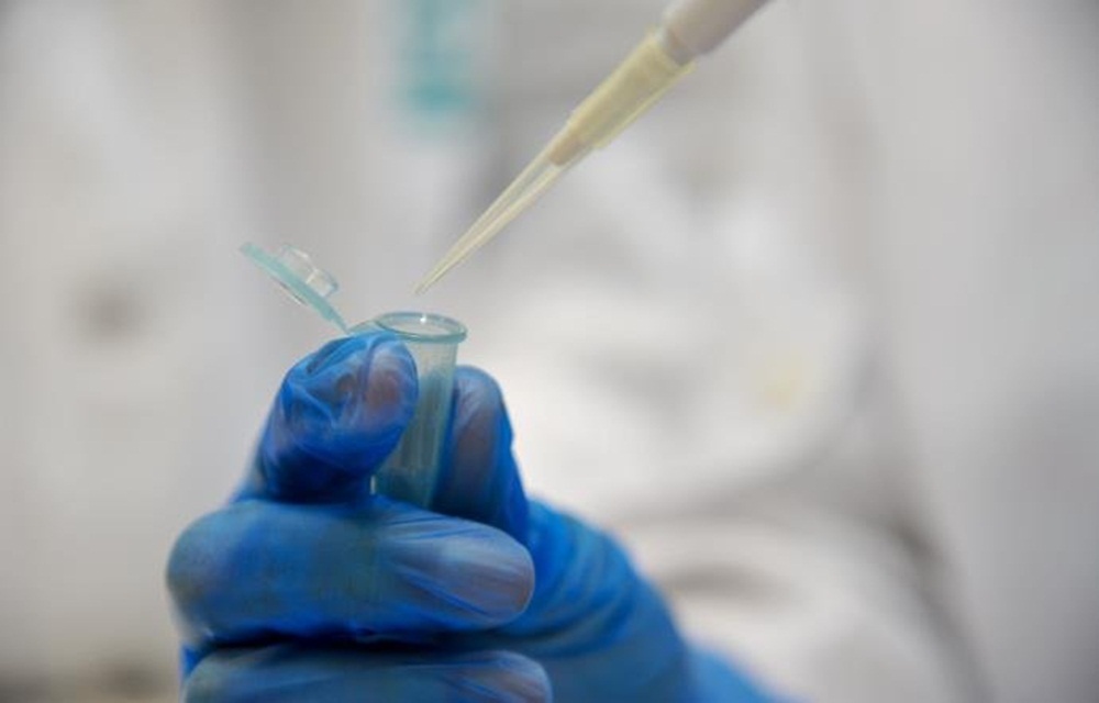Ir para  <p>Cientistas brasileiros e franceses se uniram na pesquisa de&nbsp;tratamentos para alguns tipos de c&acirc;nceres raros, a come&ccedil;ar pelos sarcomas. A parceria foi firmada na semana passada, entre o Hospital A. C. Camargo...