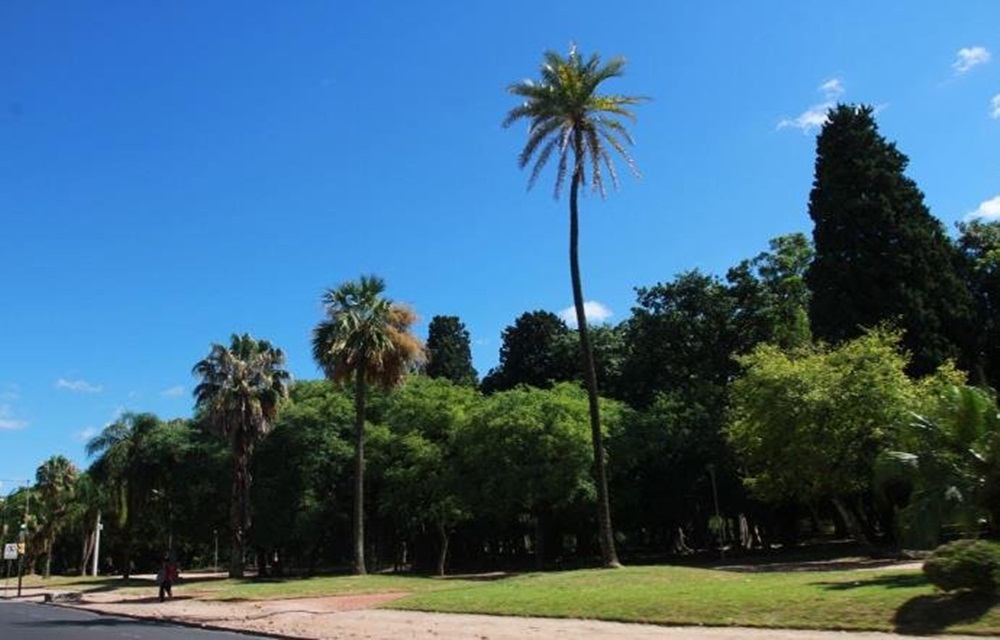 Ir para  <p>O Rio Grande do Sul ter&aacute; forte calor nesta ter&ccedil;a-feira, que contar&aacute; com muito sol e amplos per&iacute;odos de c&eacute;u claro na maioria das regi&otilde;es. A massa de ar seco que atua no...