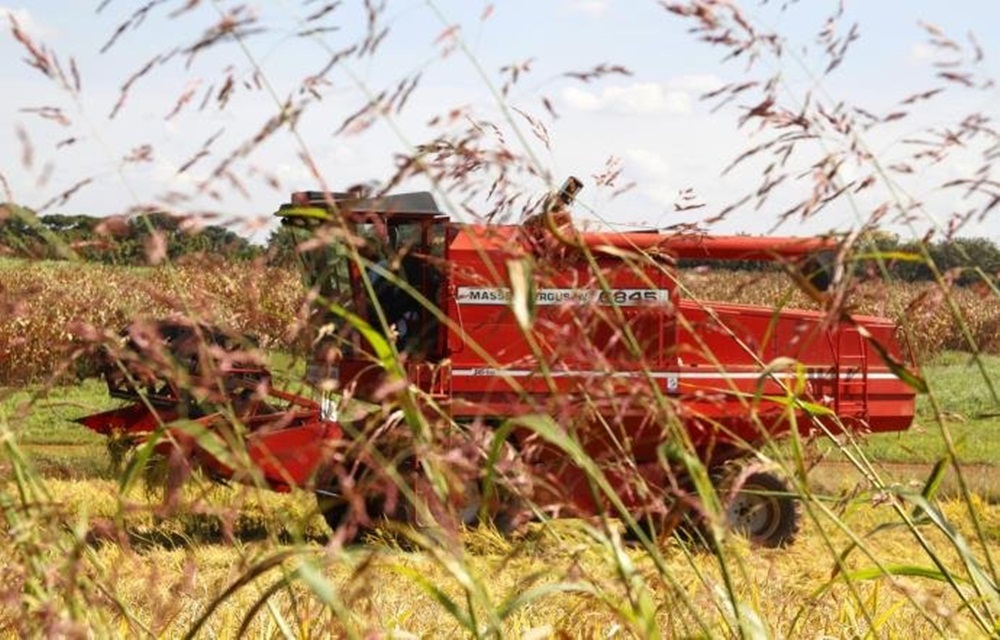 Ir para  <p>O volume de exporta&ccedil;&otilde;es de produtos agropecu&aacute;rios brasileiros cresceu 115,2% em&nbsp;novembro deste ano, na compara&ccedil;&atilde;o com o mesmo per&iacute;odo do ano passado. O setor foi...