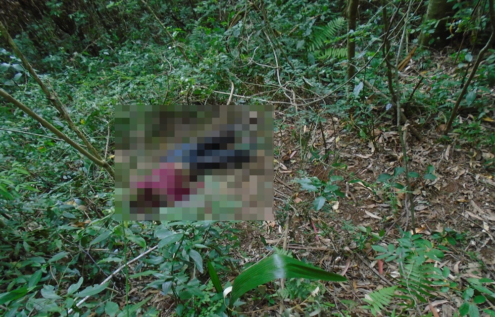 Ir para  <p>O idoso que foi encontrado morto na manh&atilde; de ontem (20/12), na comunidade da Vila Rica, duas semanas ap&oacute;s seu desaparecimento, pode ter sido assassinado. O corpo da v&iacute;tima foi localizado numa...