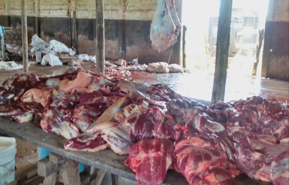 Ir para  <p>Na manh&atilde; desta sexta-feira (22/12), foi fechado um abatedouro clandestino no interior de Viadutos. No local, foram apreendidos 170 Kg de carne bovina em condi&ccedil;&otilde;es impr&oacute;prias e pronta para a...