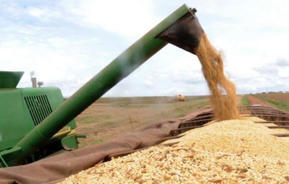 Ir para  <p>A primeira estimativa para a safra nacional de 2018, feita em janeiro, &eacute; de queda de 6% em rela&ccedil;&atilde;o ao ano anterior. A produ&ccedil;&atilde;o de&nbsp;cereais, leguminosas e oleaginosas deve...