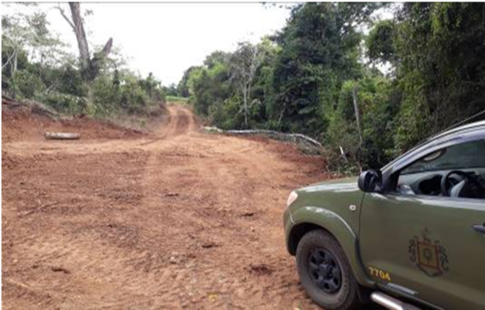 Ir para  <p>O Pelot&atilde;o Ambiental de Erechim (PATRAM), recebeu uma den&uacute;ncia an&ocirc;nima informando que no interior da cidade de Tr&ecirc;s Arroios estaria ocorrendo desmatamento em uma &aacute;rea rural. Uma...