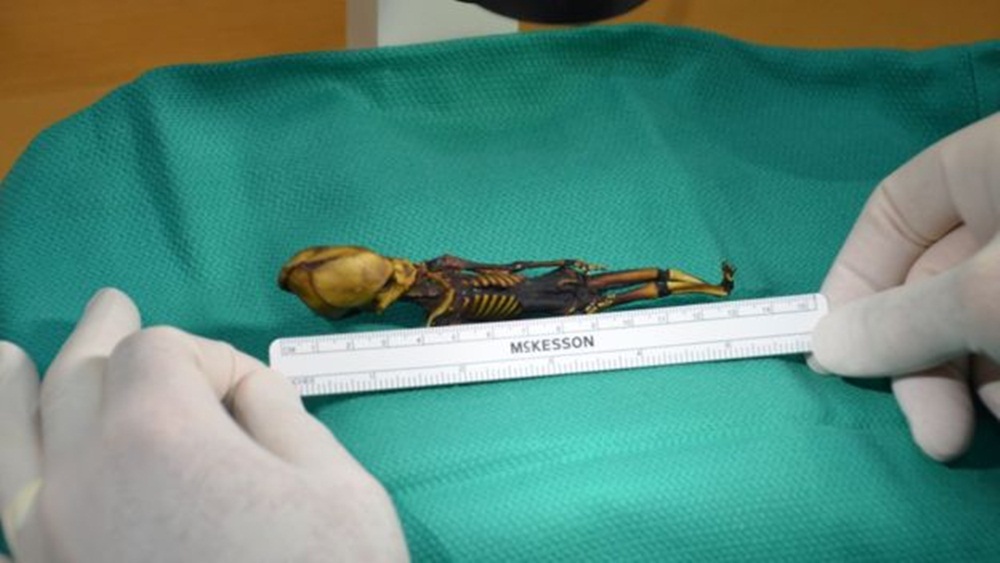 Ir para  <p><big>Embora a m&uacute;mia me&ccedil;a 13 cent&iacute;metros, o tamanho de um feto, uma primeira an&aacute;lise sugeriu que se tratava do corpo de uma crian&ccedil;a entre seis e oito...