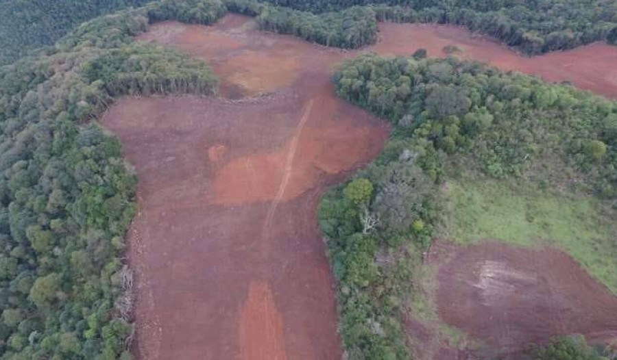 Ir para  <p>Uma den&uacute;ncia levou a Patram de S&atilde;o Jos&eacute; do Ouro a flagrar um desmatamento de mais de 5 ha de vegeta&ccedil;&atilde;o nativa no interior de Machadinho, na localidade de Linha...