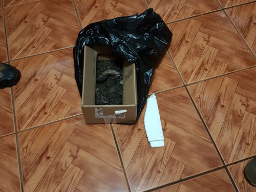Ir para  <p><big>Um feto foi encontrado no in&iacute;cio da noite deste domingo, 03, na churrasqueira de uma resid&ecirc;ncia da Rua Alexandre Bramatti, no bairro S&atilde;o Pelegrino, em Get&uacute;lio Vargas. Segundo a...