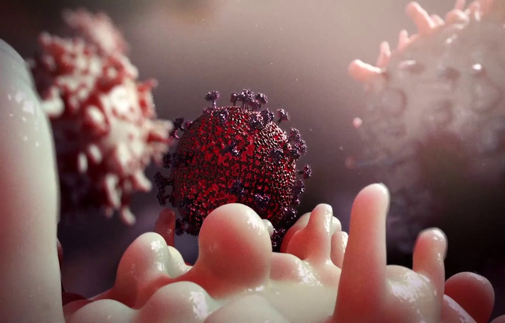 Ir para  <p>Um grupo de cientistas dos Estados Unidos testou uma vacina experimental que foi capaz de ativar anticorpos e eliminar dezenas de linhagens do v&iacute;rus HIV em camundongos, porquinhos da &iacute;ndia e macacos. Os resultados...