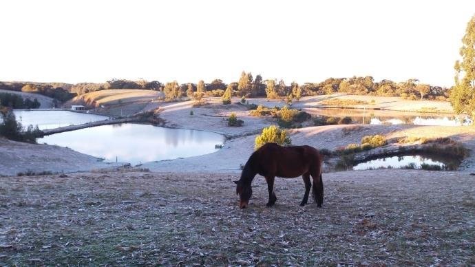 Ir para  <p>O frio intenso tomou conta de todo o Rio Grande no Sul neste domingo. Pelo menos 27 cidades ga&uacute;chas registraram temperaturas negativas, e, em 47 munic&iacute;pios, os term&ocirc;metros marcaram entre 0&ordm;C e...