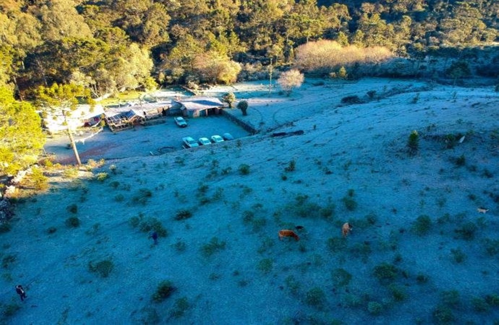 Ir para  <p>O Rio Grande do Sul tem mais um dia de frio intenso. Assim como no domingo, a temperatura m&iacute;nima no Estado, nesta segunda-feira, foi de -4,2&ordm;C. O registro foi em S&atilde;o Jos&eacute; dos Ausentes, nos Campos...