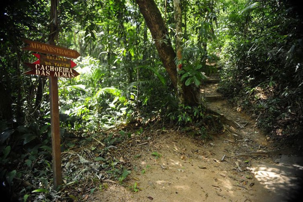 Ir para  <p><big>O governo federal cria hoje (19) a Rede Nacional de Trilhas de Longo Curso e Conectividade (Rede Trilhas), formada por quatro grandes corredores interligando paisagens naturais no pa&iacute;s por onde milh&otilde;es de...
