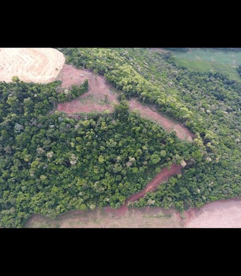 Ir para  <p><big>A Patram de Erechim localizou mais uma &aacute;rea de desmatamento irregular na regi&atilde;o. O local fica no interior do munic&iacute;pio de Severiano de Almeida, e por ser de dif&iacute;cil acesso, a Patram...
