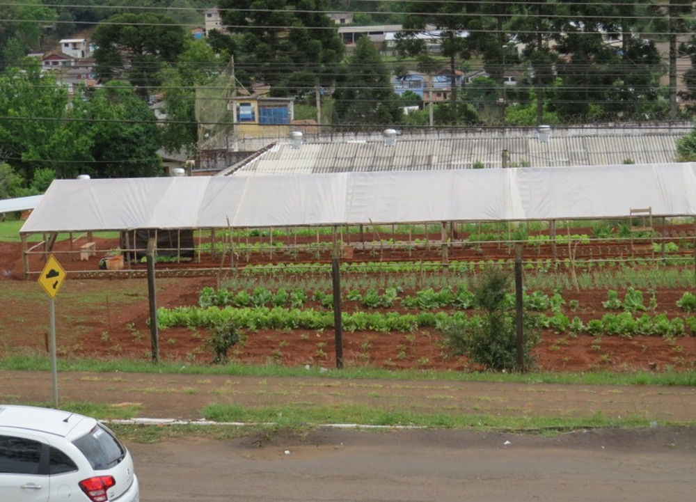 Ir para  <p><big>Uma horta de encher os olhos de quem passa pr&oacute;ximo ao Presidio Estadual de Get&uacute;lio Vargas. A surpresa fica por conta de que ela &eacute; cultivada por detentos. A produ&ccedil;&atilde;o...
