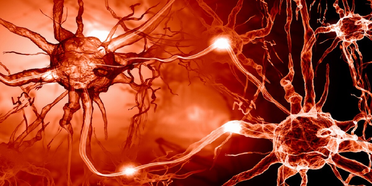 Ir para  <p><big>Se uma pessoa tem a doen&ccedil;a de Alzheimer, isso &eacute; geralmente o resultado de uma acumula&ccedil;&atilde;o de dois tipos de les&otilde;es &ndash; placas amil&oacute;ides e emaranhados...