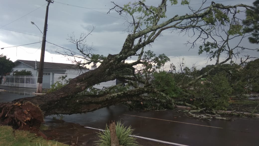 Ir para  <p>Como previam as principais ag&ecirc;ncias meteorol&oacute;gicas do estado, esta quinta-feira tem registrado temporais em v&aacute;rias regi&otilde;es do Rio Grande do Sul. Em Viadutos, o mau tempo teve in&iacute;cio...