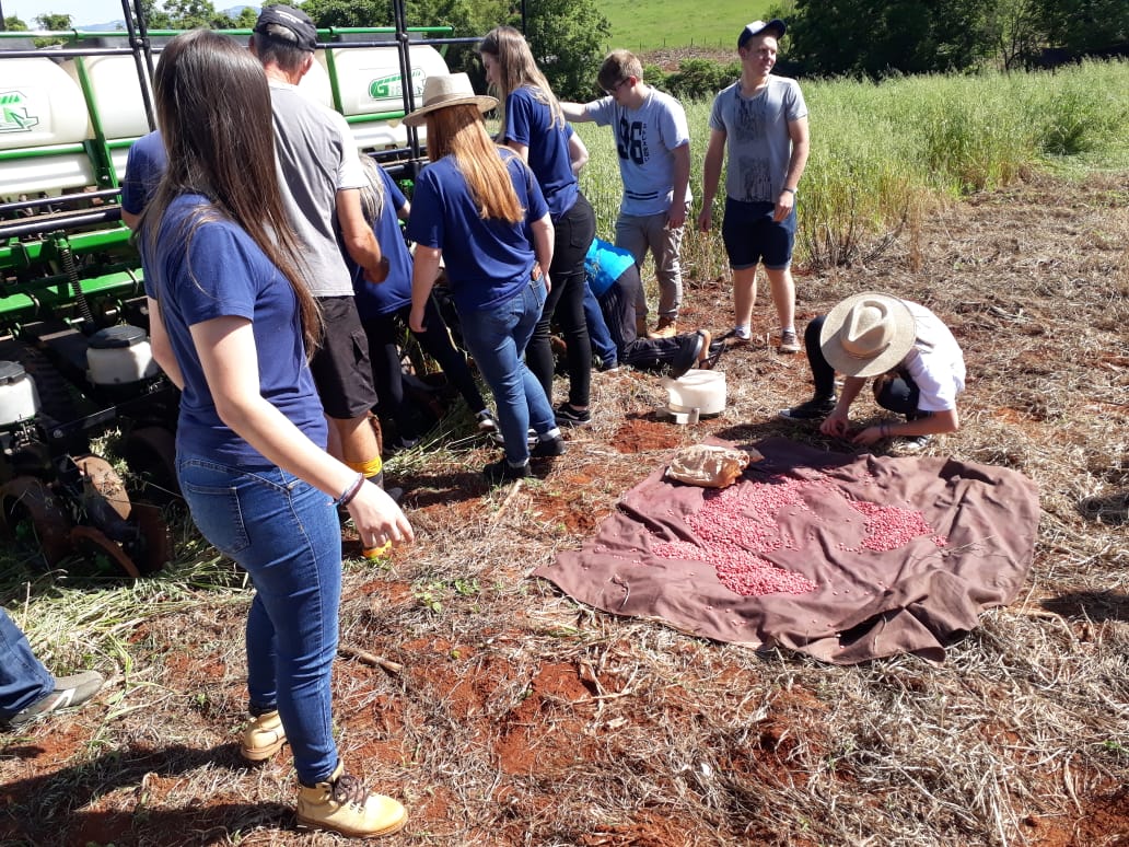 Ir para  <p>&nbsp;&nbsp; A Escola Estadual de Educa&ccedil;&atilde;o B&aacute;sica Viadutos em parceria com a Secretaria Municipal de Agricultura e a Cooperativa Alfa vem desenvolvendo um projeto que tem como objetivo aprimorara...