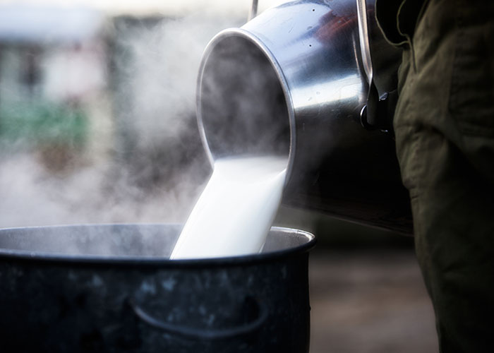 Ir para  <p><big>Melhora no cen&aacute;rio econ&ocirc;mico e safra recorde de gr&atilde;os devem fazer este ano ser de retomada de crescimento para a pecu&aacute;ria leiteira brasileira. A an&aacute;lise &eacute; de...