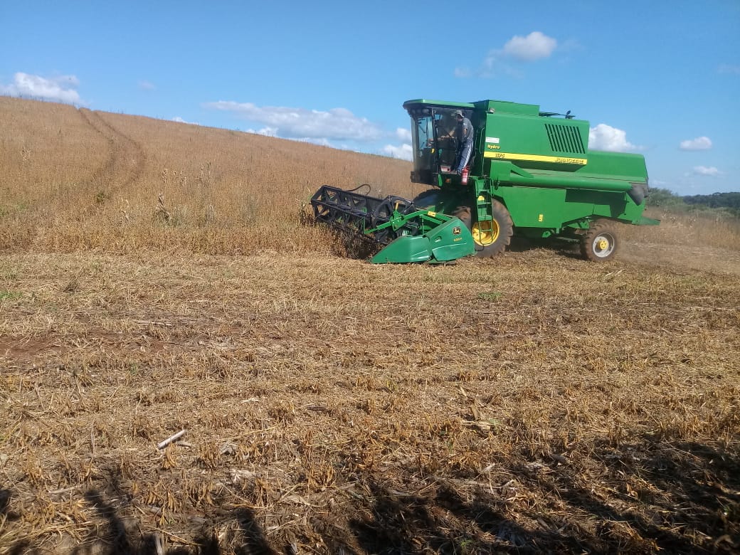 Ir para  <p><big>A lavoura experimental, com 10 hectares, est&aacute; localizada na propriedade do agricultor Darci Baldissera, na Linha S&atilde;o Br&aacute;s, interior do munic&iacute;pio de Viadutos. O plantio da variedade...