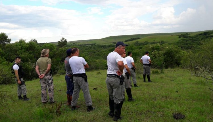 Ir para  <p><big>Um mist&eacute;rio ronda os campos da fronteira. Na tarde de s&aacute;bado (26) um grupo de 10 ca&ccedil;adores da cidade de Erechim foi at&eacute; a Est&acirc;ncia S&atilde;o Roberto localizada no...