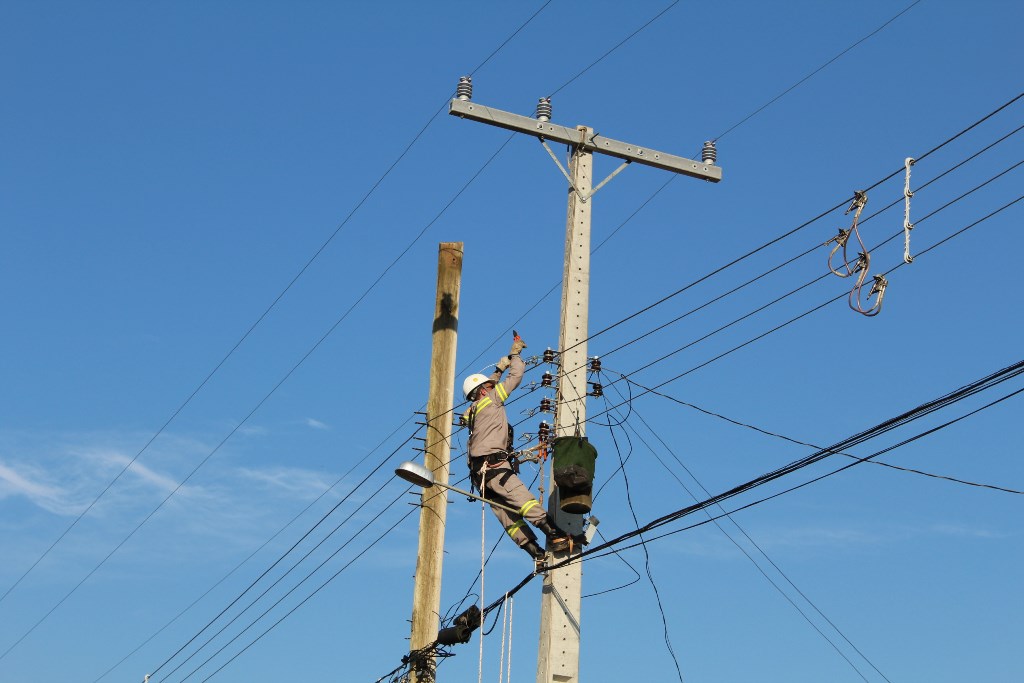 Ir para  <p><big>Ap&oacute;s a veicula&ccedil;&atilde;o da mat&eacute;ria, <strong><em>n&ordm; 5.216</em></strong> &ndash; <strong><em>&ldquo;Avi&aacute;rio fica sem energia...